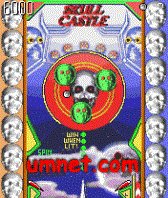 game pic for Skull Castle Pinball